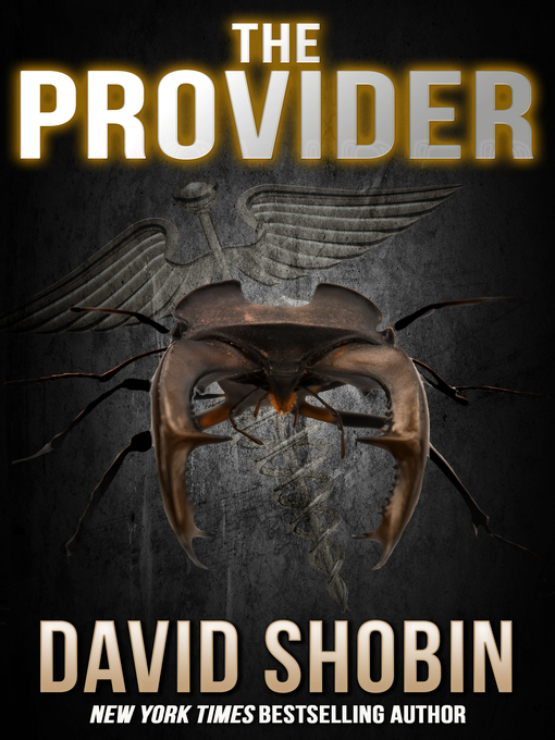 Title details for The Provider by David Shobin - Available
